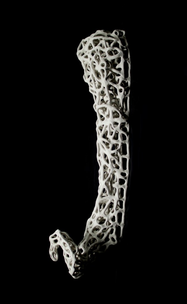 Chasing Fibonacci - Light Form