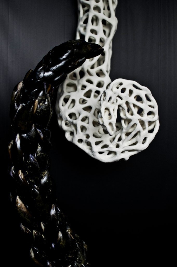 Light and Shadow Installation